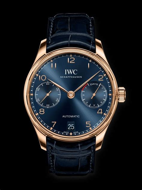 IWC schaffhausen automatic case